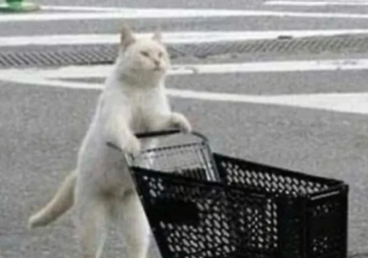 GIF uploaded by Mishka