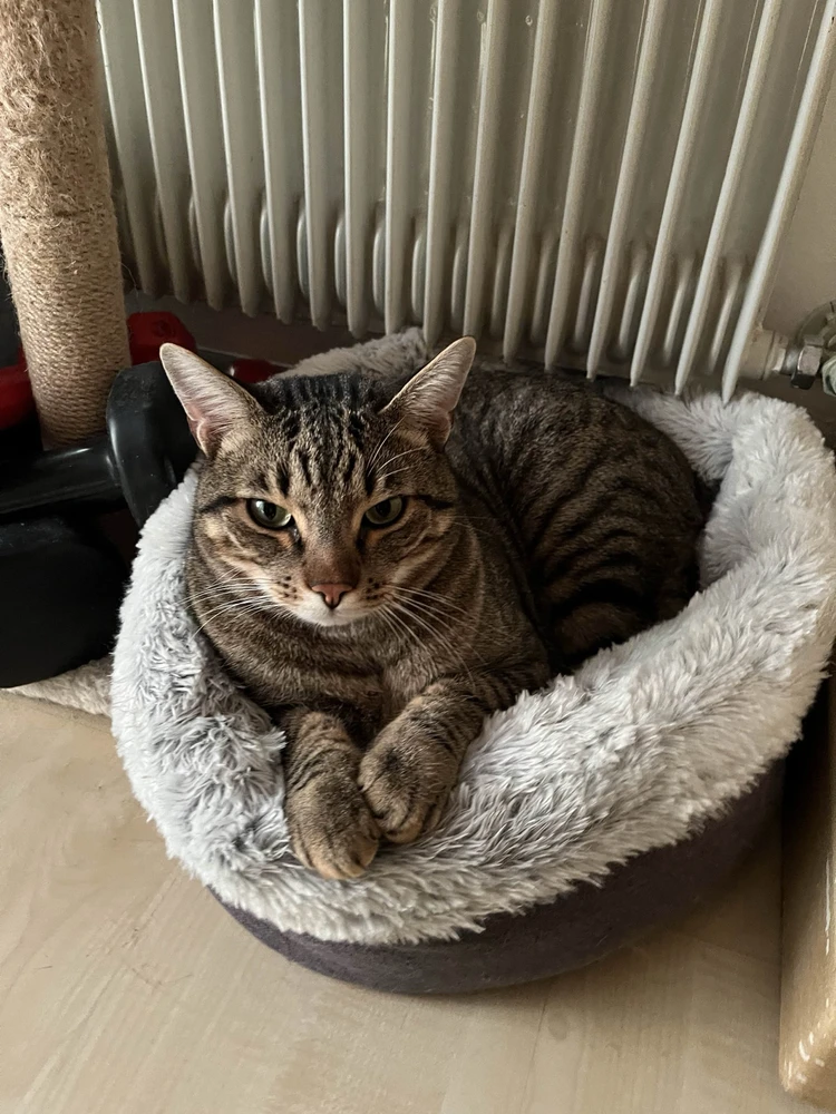 Image uploaded by Dylan