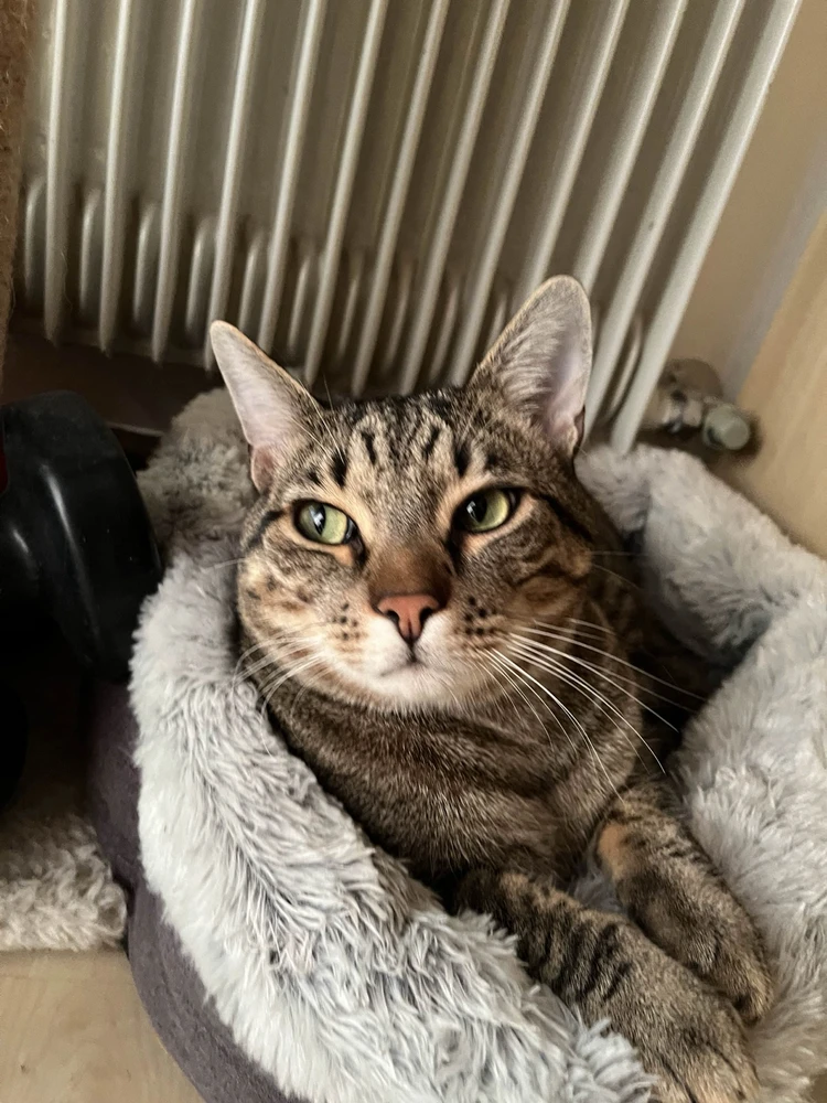 Image uploaded by Dylan