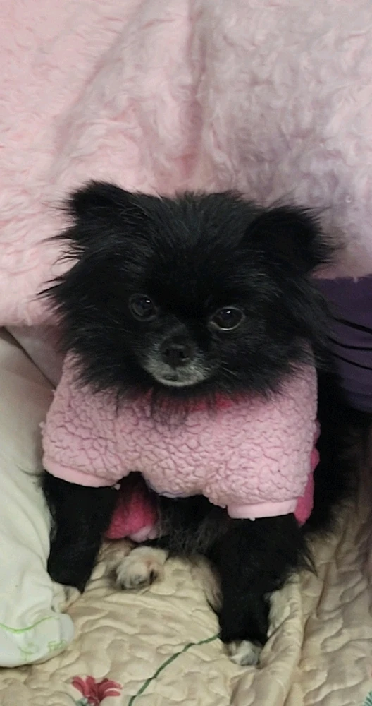 GIF uploaded by Denae