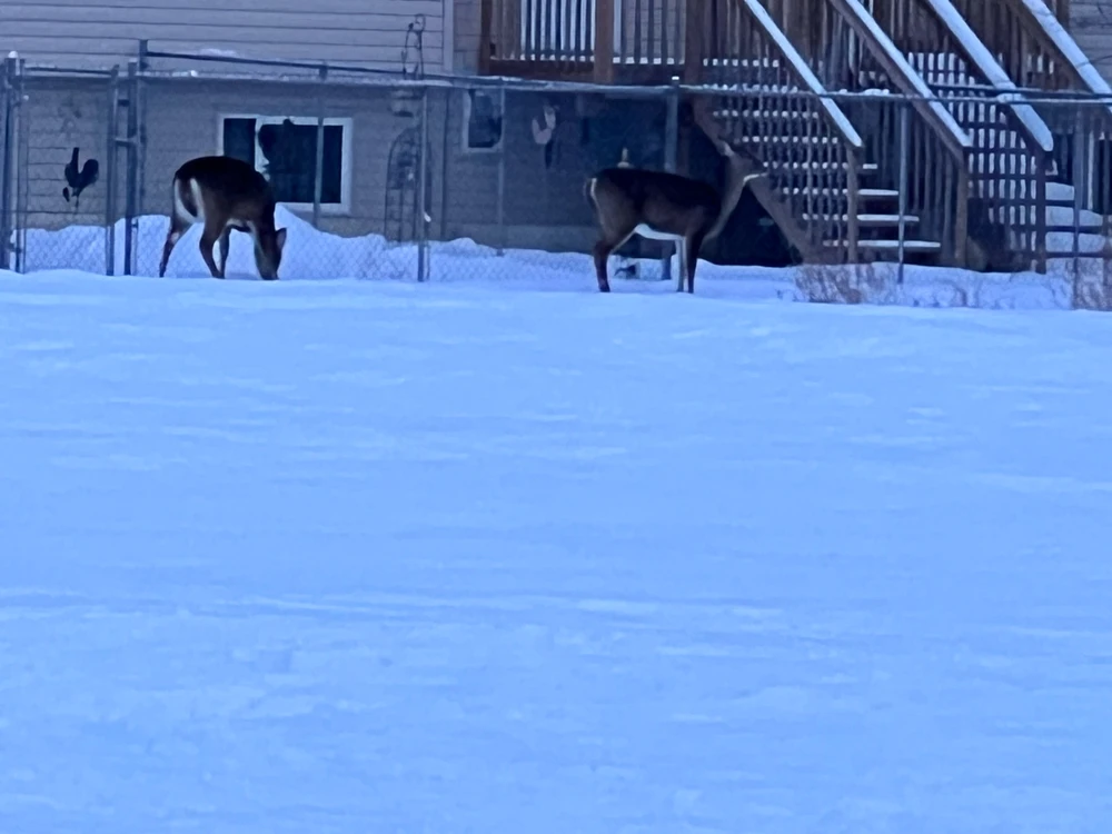 GIF uploaded by Victor