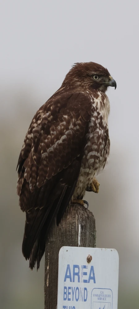 GIF uploaded by Moses