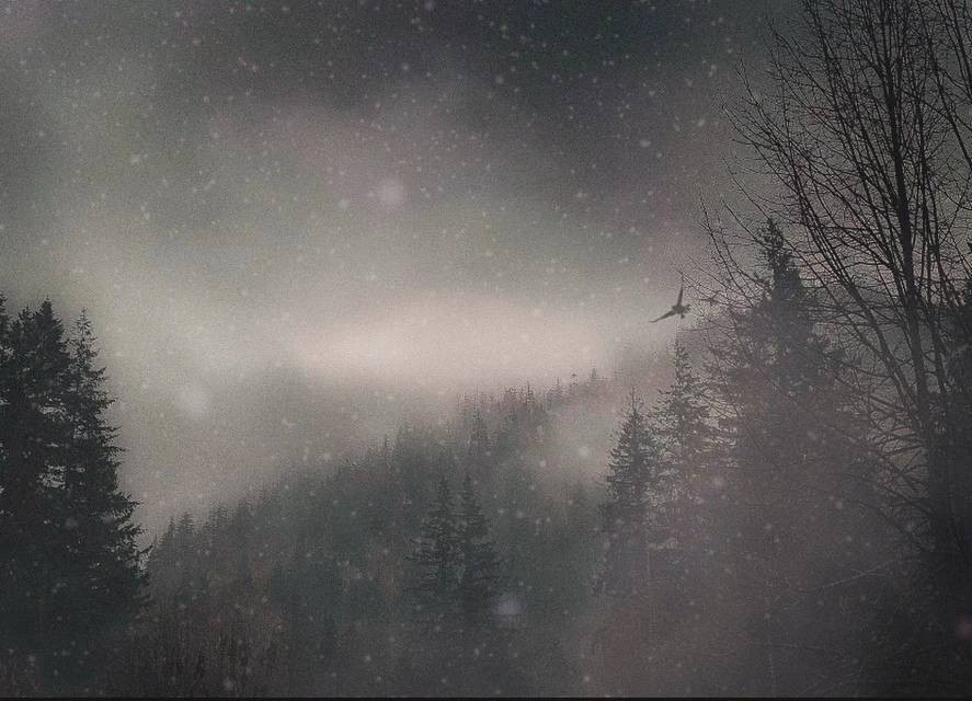 GIF uploaded by lowercaserain