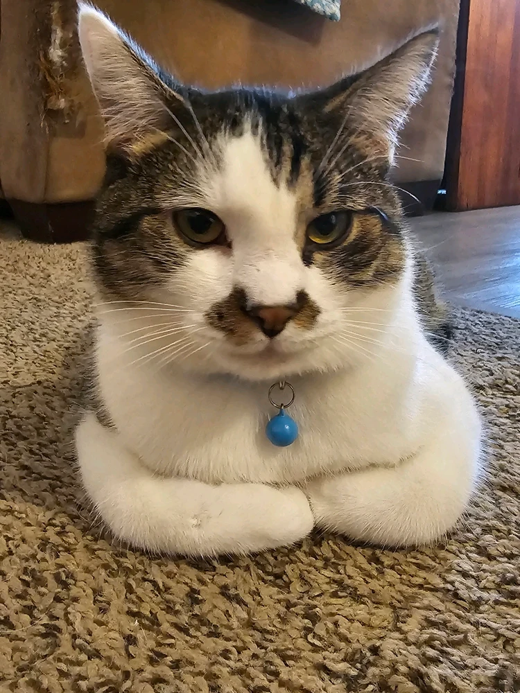 GIF uploaded by Samantha