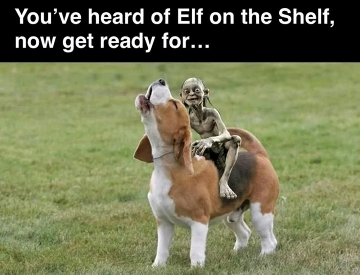 GIF uploaded by Donna