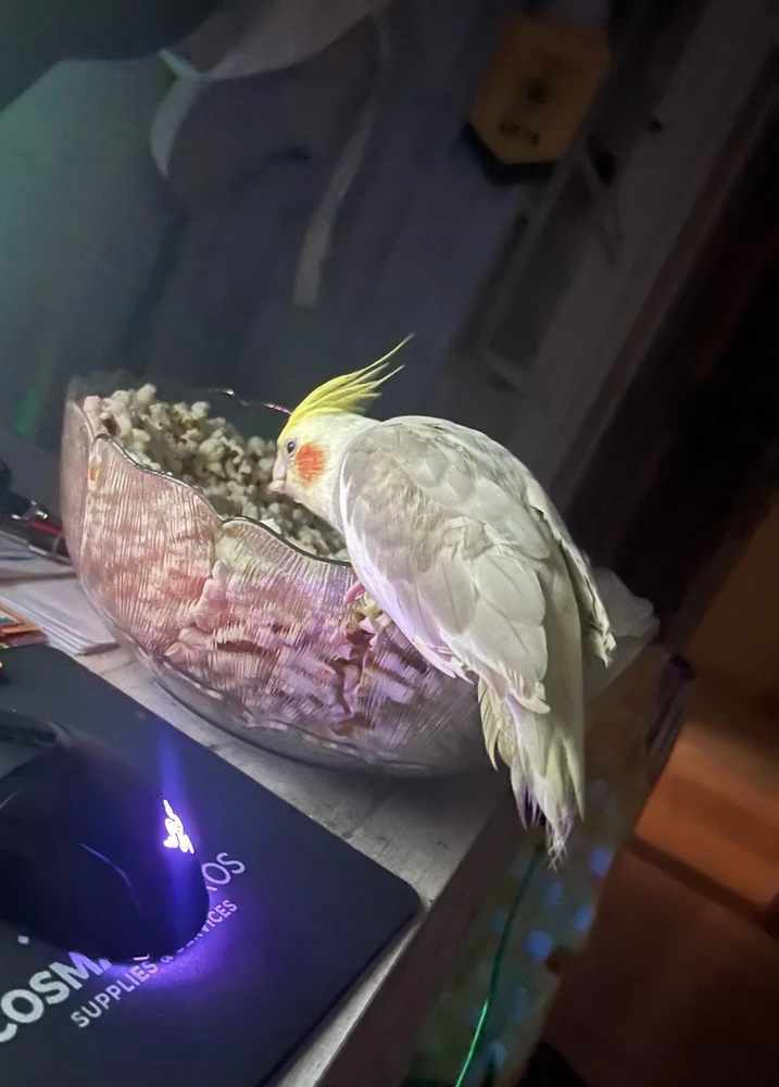 GIF uploaded by Antwnhs