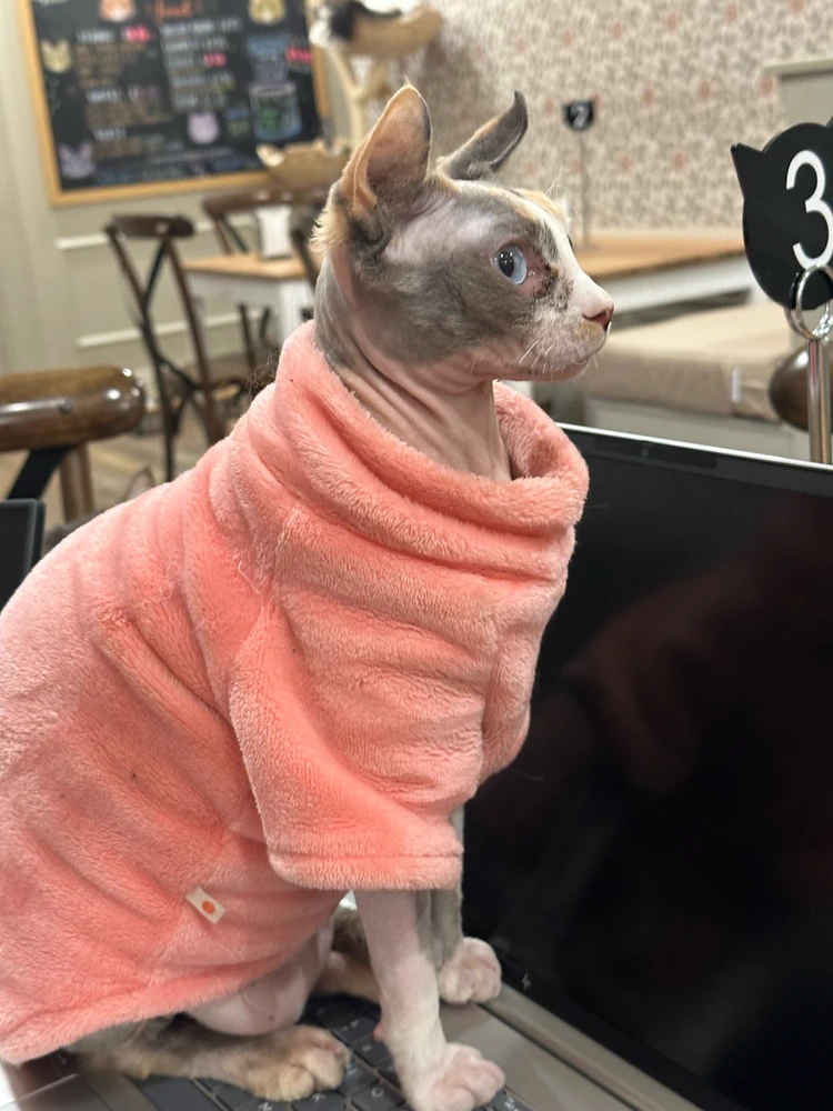 Image uploaded by Tommy