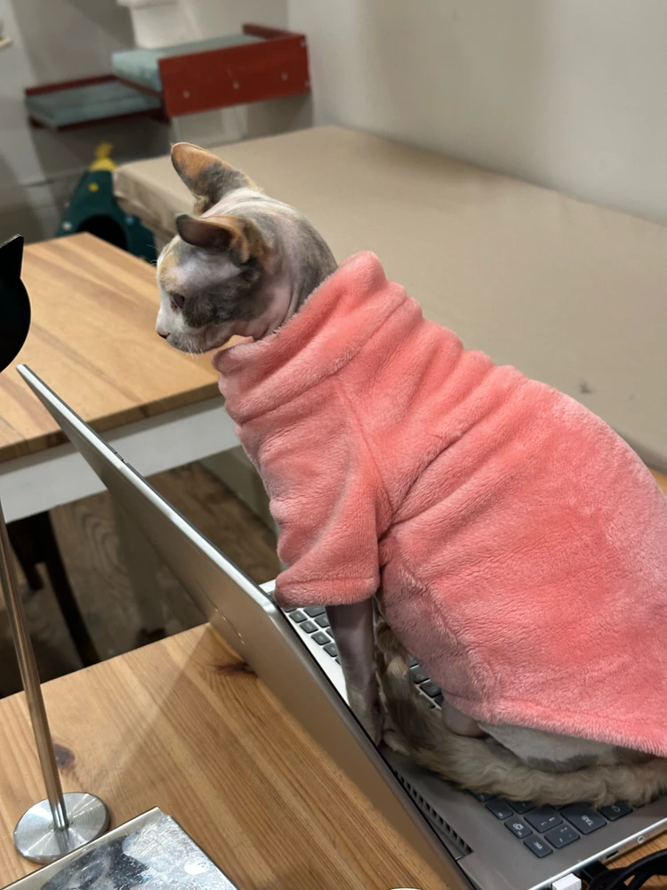 Image uploaded by Tommy