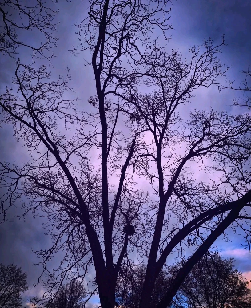 GIF uploaded by Cory