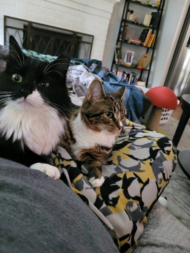 GIF uploaded by Taylor