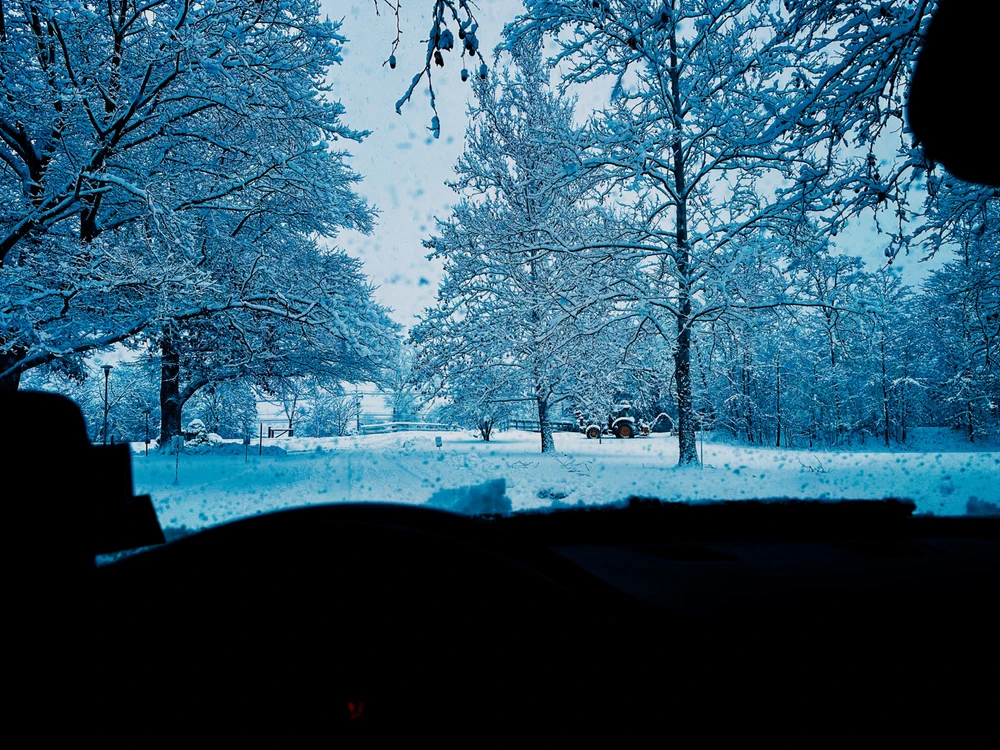 GIF uploaded by LJ ⭐️