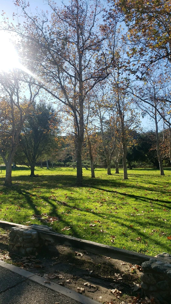 GIF uploaded by laila♡