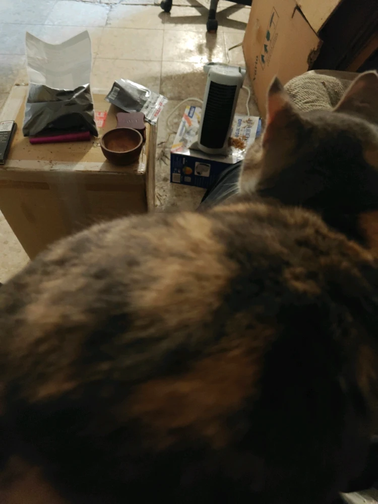 GIF uploaded by Iddo