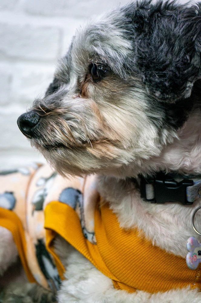 Image uploaded by Nicolas