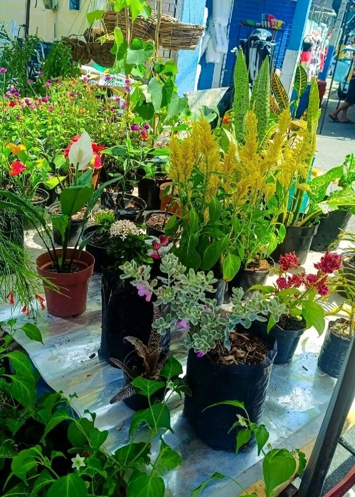 GIF enviado por Shirley