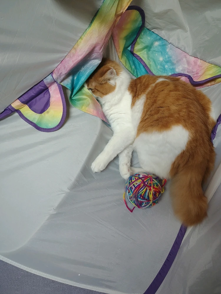 GIF uploaded by Nova