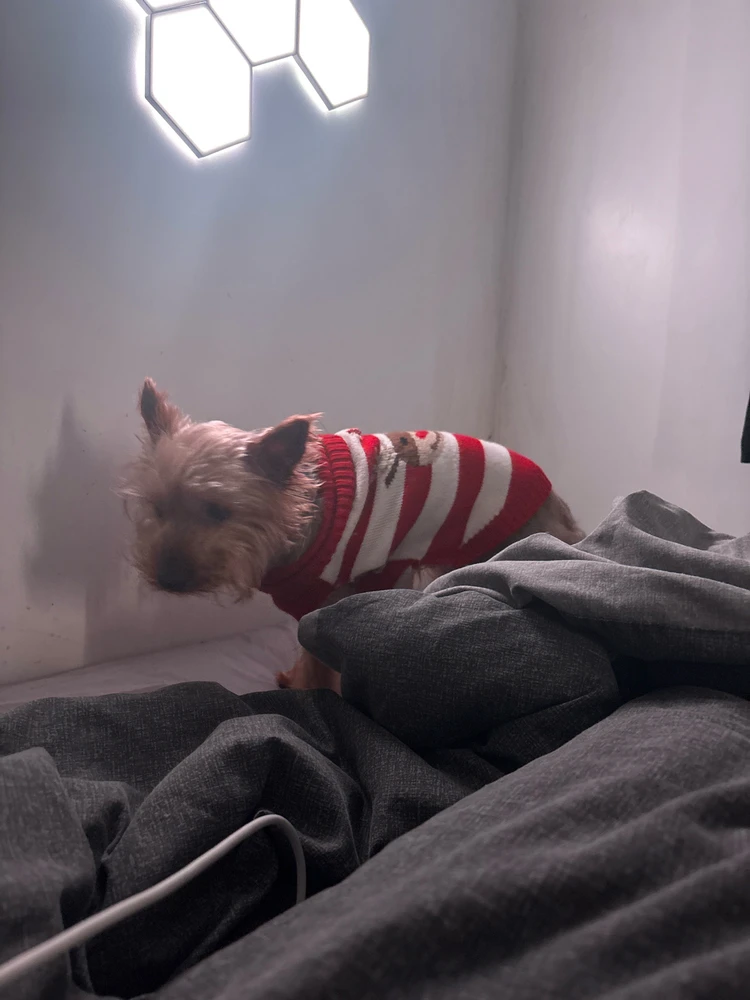 GIF uploaded by Rhys