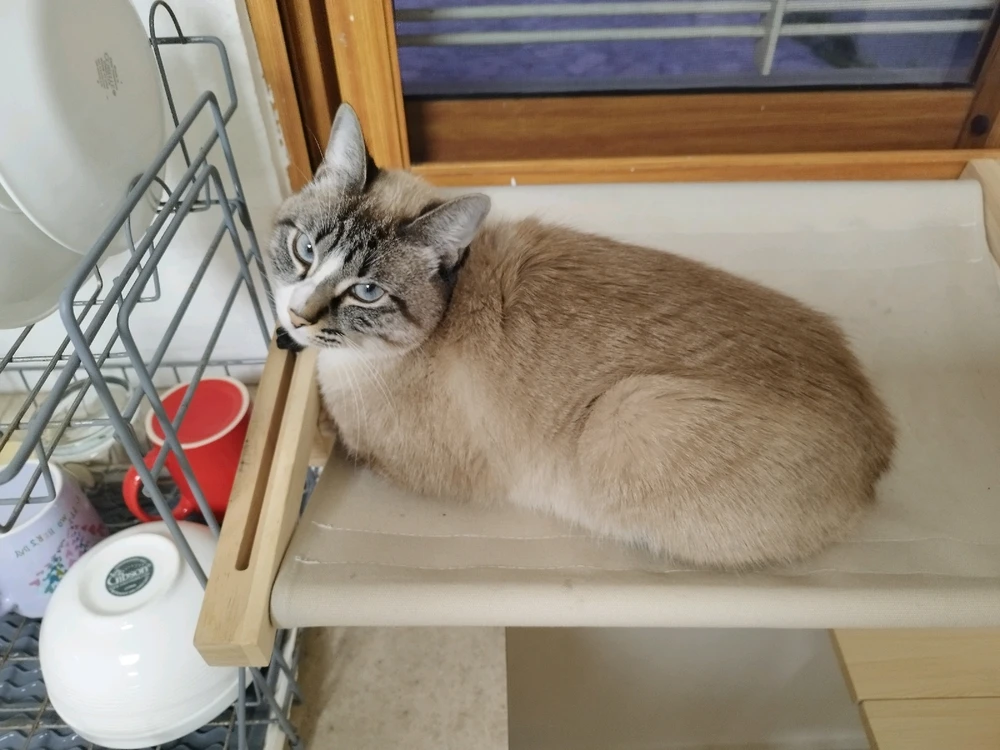 Imagen subida por Santiago