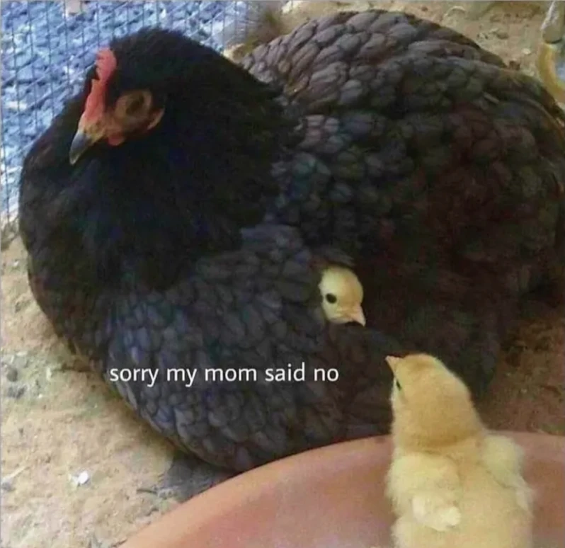 Image uploaded by Waynez