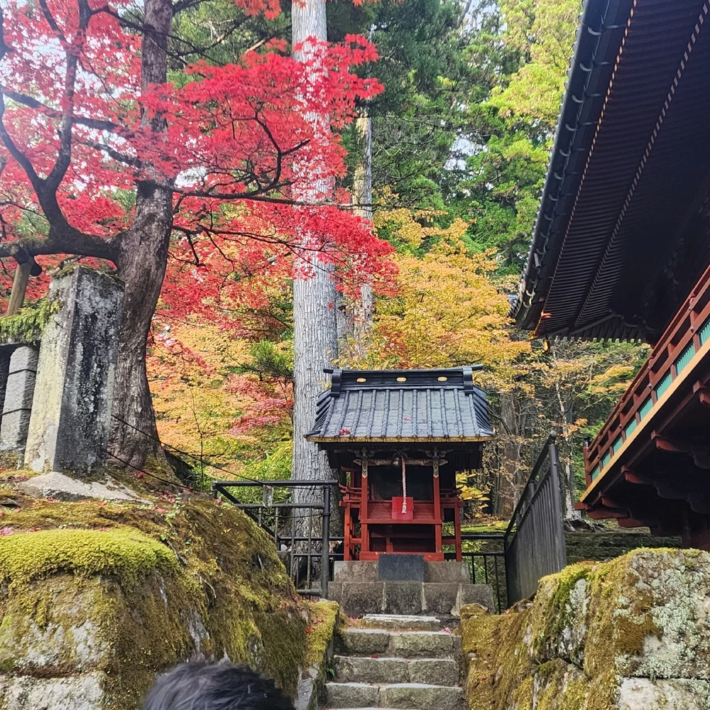 Z பதிவேற்றிய படம்