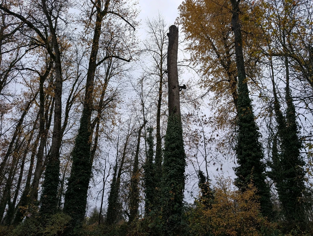 GIF uploaded by Eden