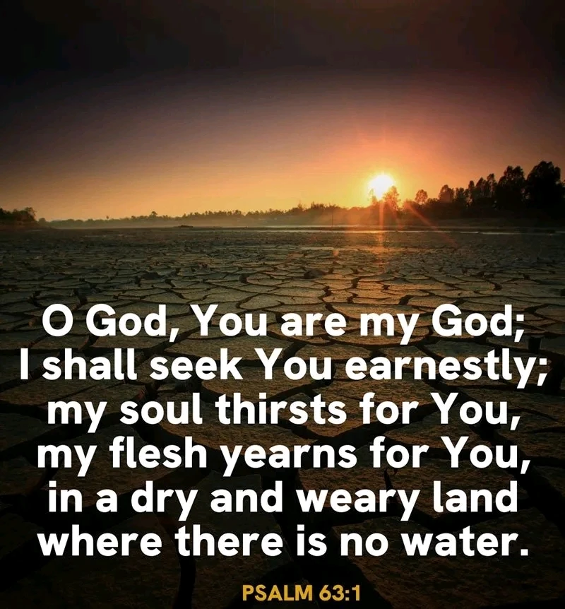 GIF uploaded by Cesar