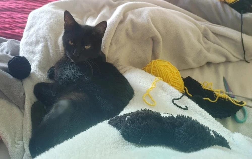 GIF diunggah ku ❤ Sophia aka Mango Mami ❤️