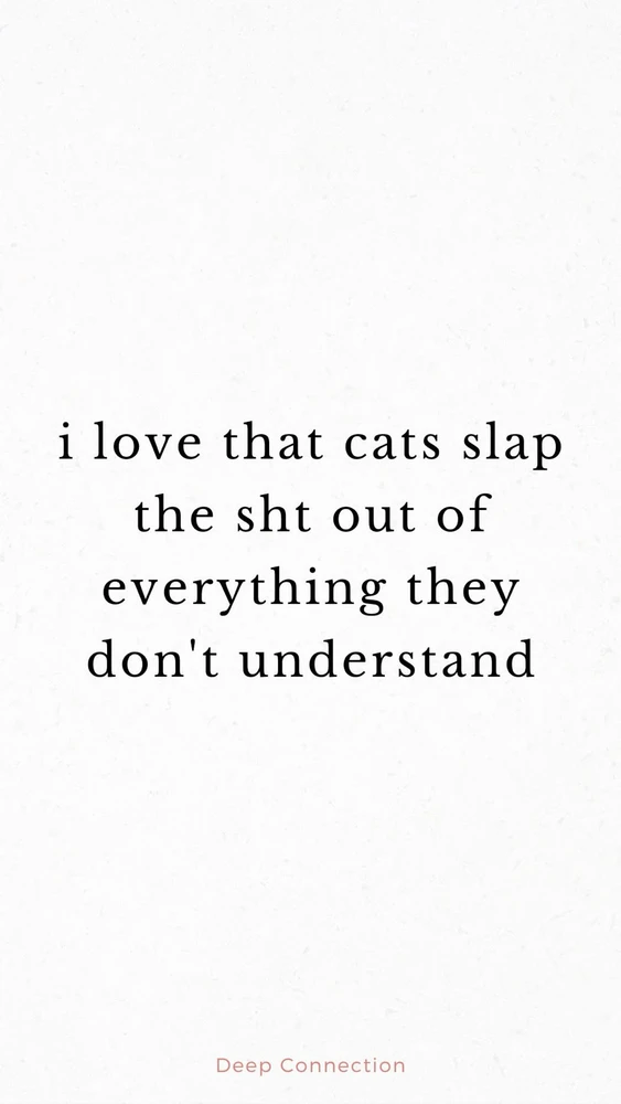 GIF uploaded by Allison