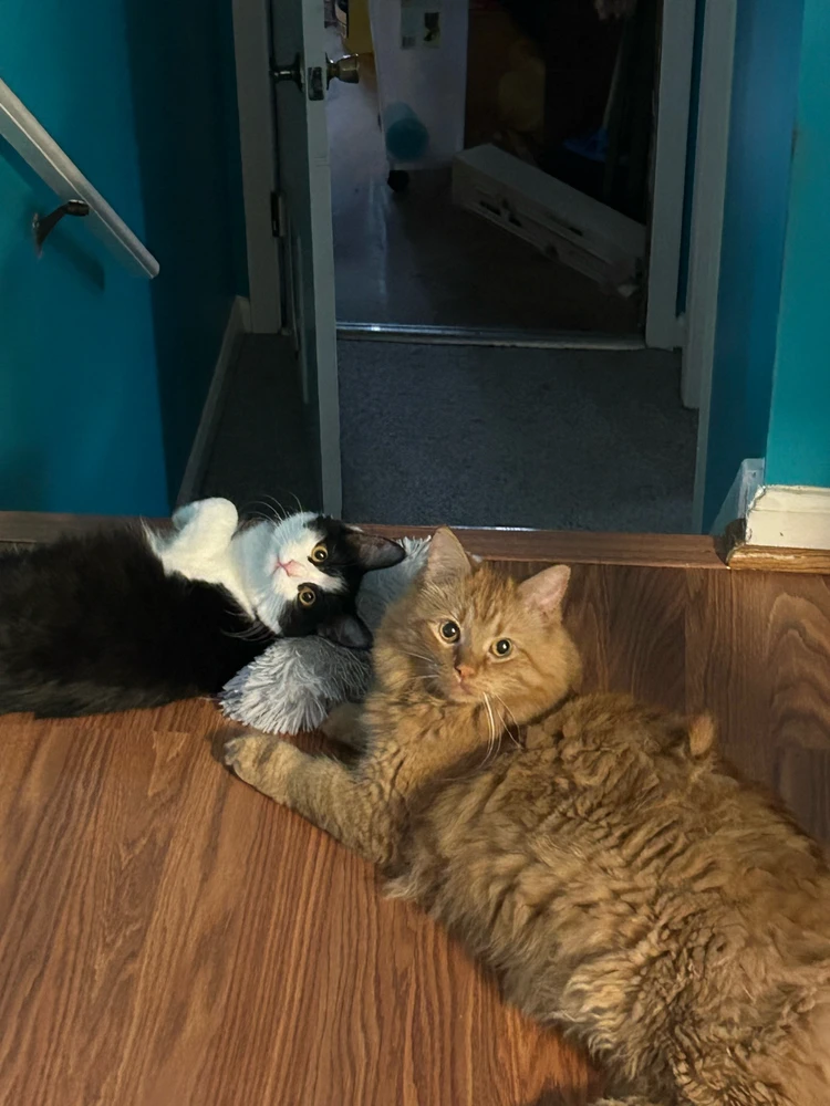 GIF uploaded by David