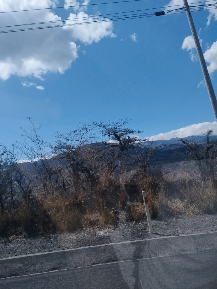 Image uploaded by Josue