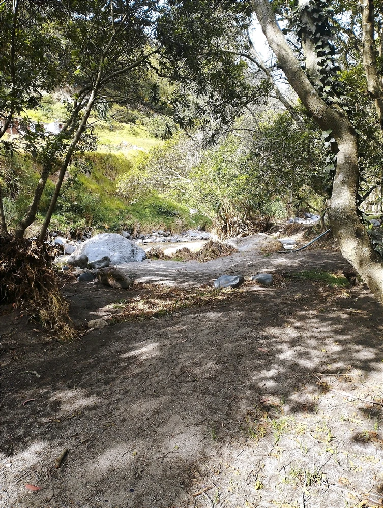 Image uploaded by Josue