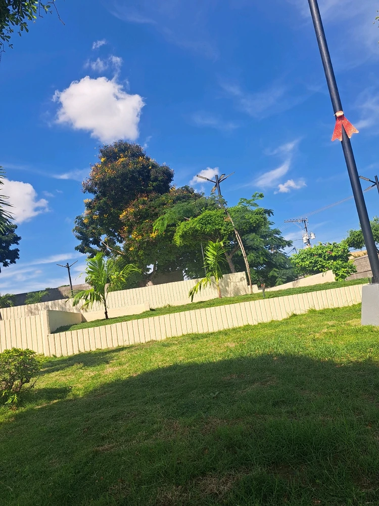 Image uploaded by Daniel