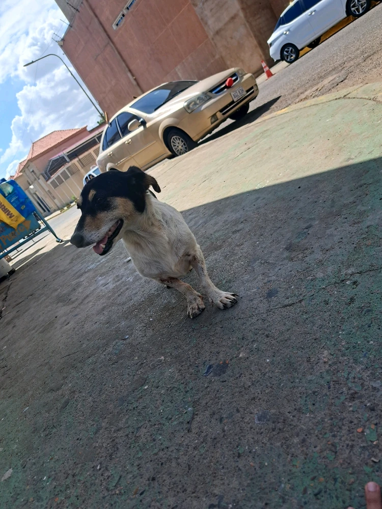 Image uploaded by Daniel