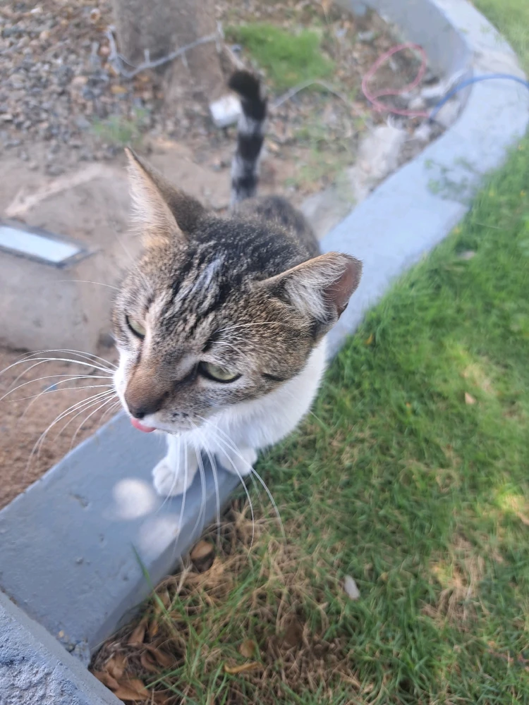 Image uploaded by Daniel