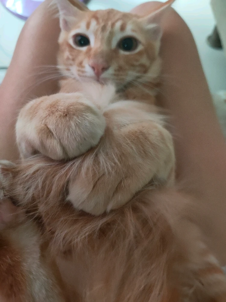 GIF uploaded by Jellyfish