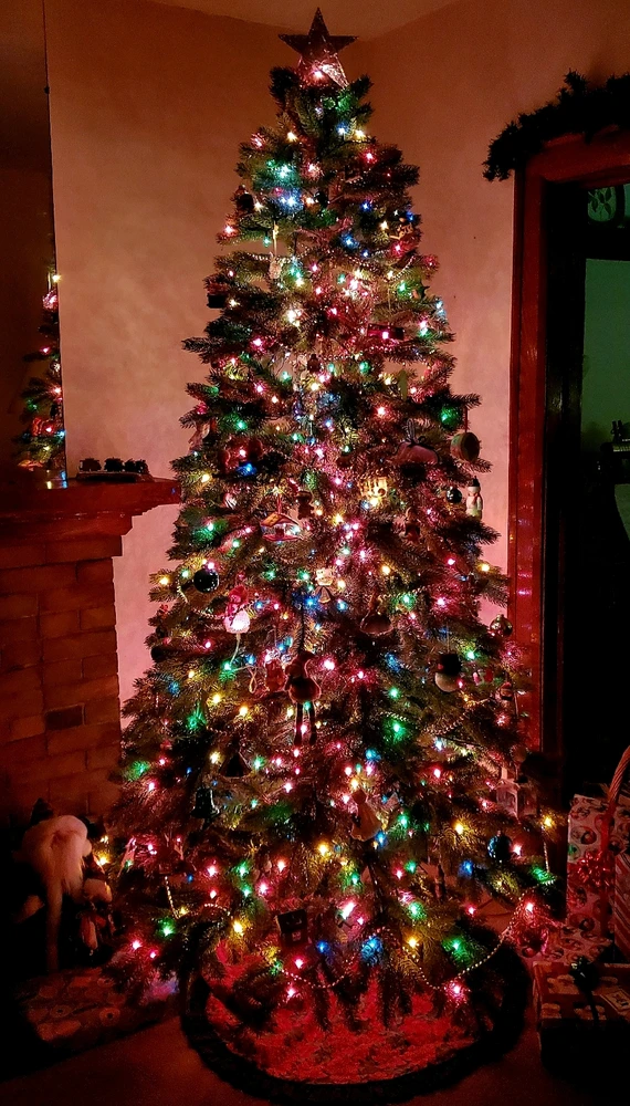 GIF uploaded by Chris