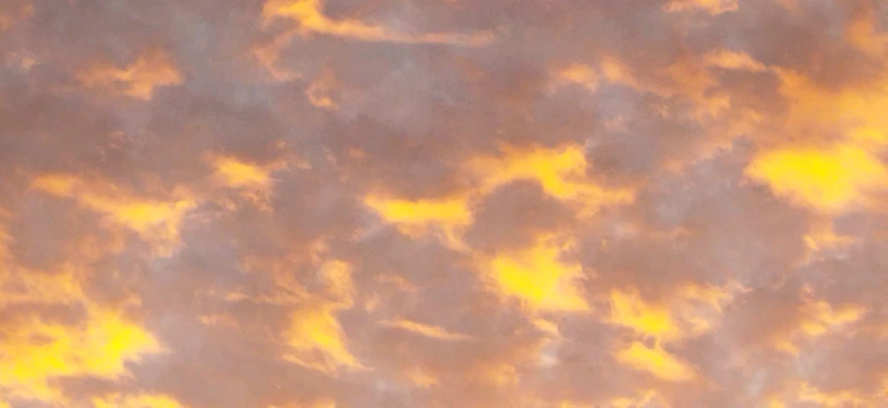 GIF uploaded by Lisa