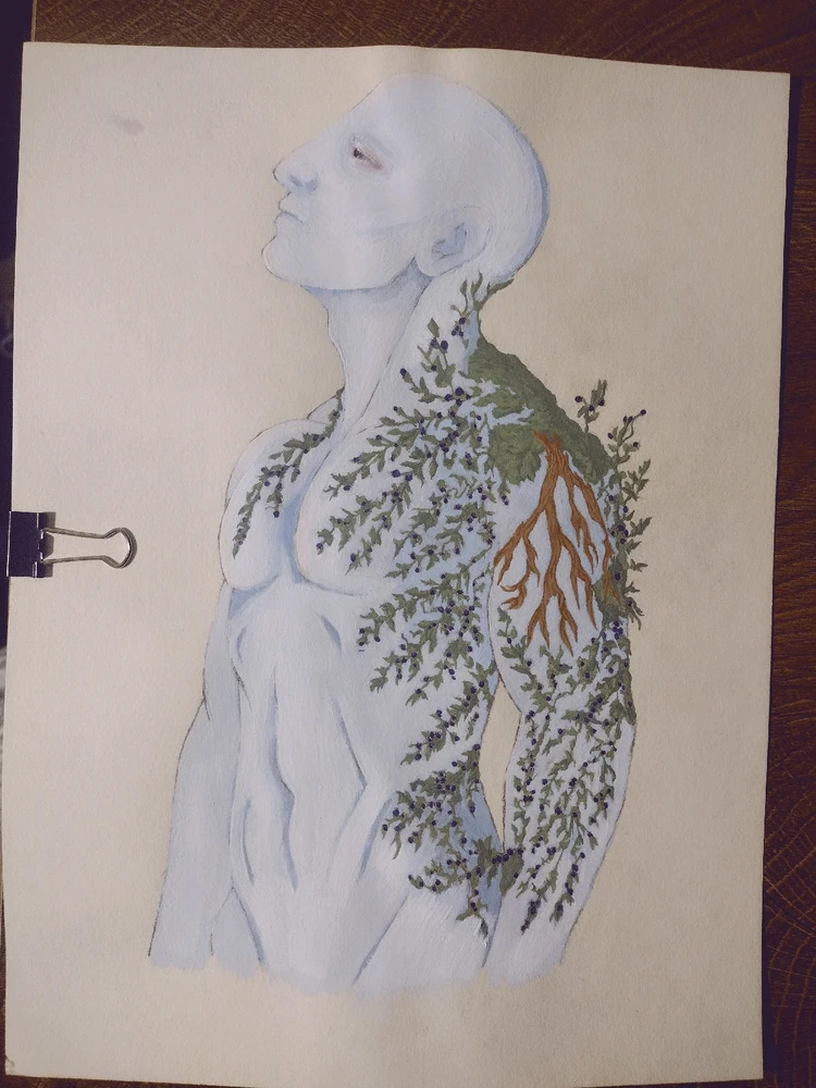 Image uploaded by Taylor