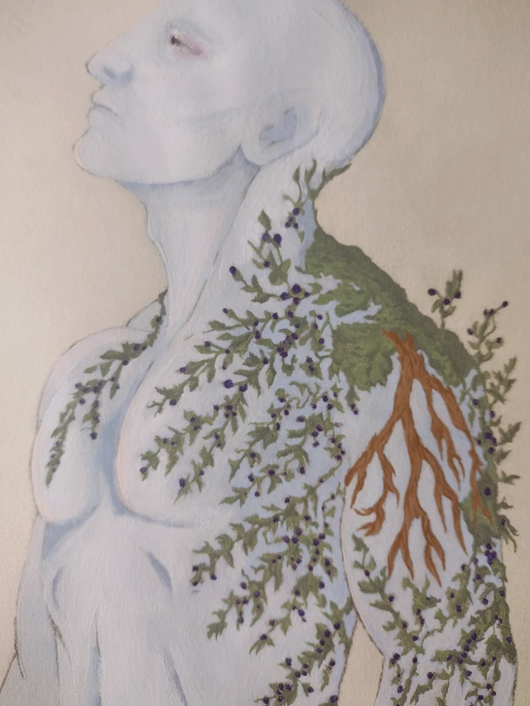 Image uploaded by Taylor