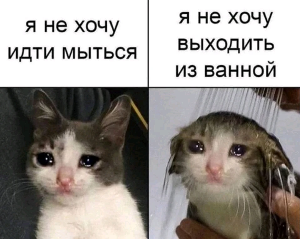 GIF uploaded by アーシー