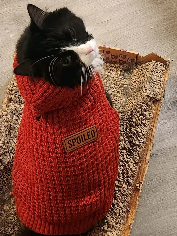 GIF diunggah dening Micahl