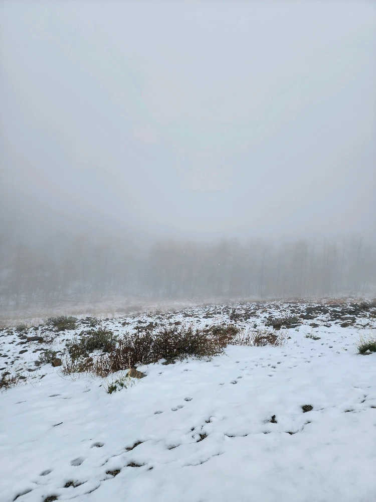 Image uploaded by Brandon