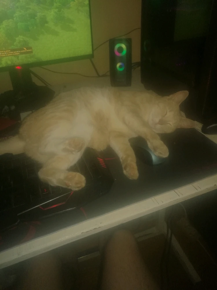 GIF diunggah dening Schalk