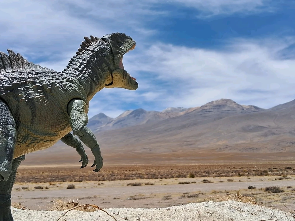 Imagen subida por Hammond Collection