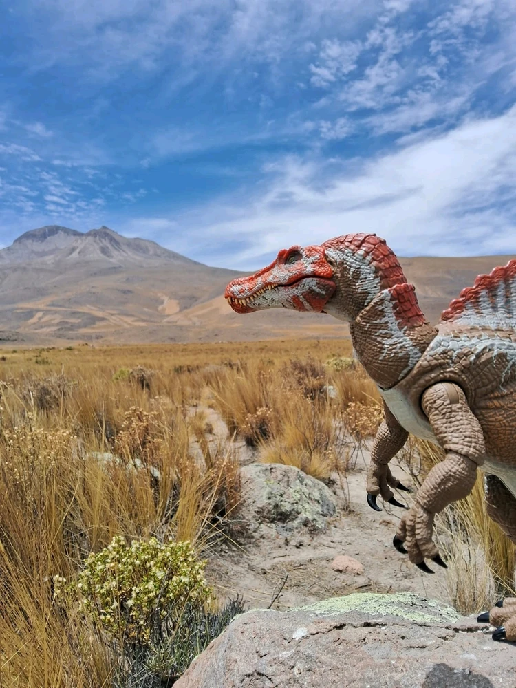 Imagen subida por Hammond Collection