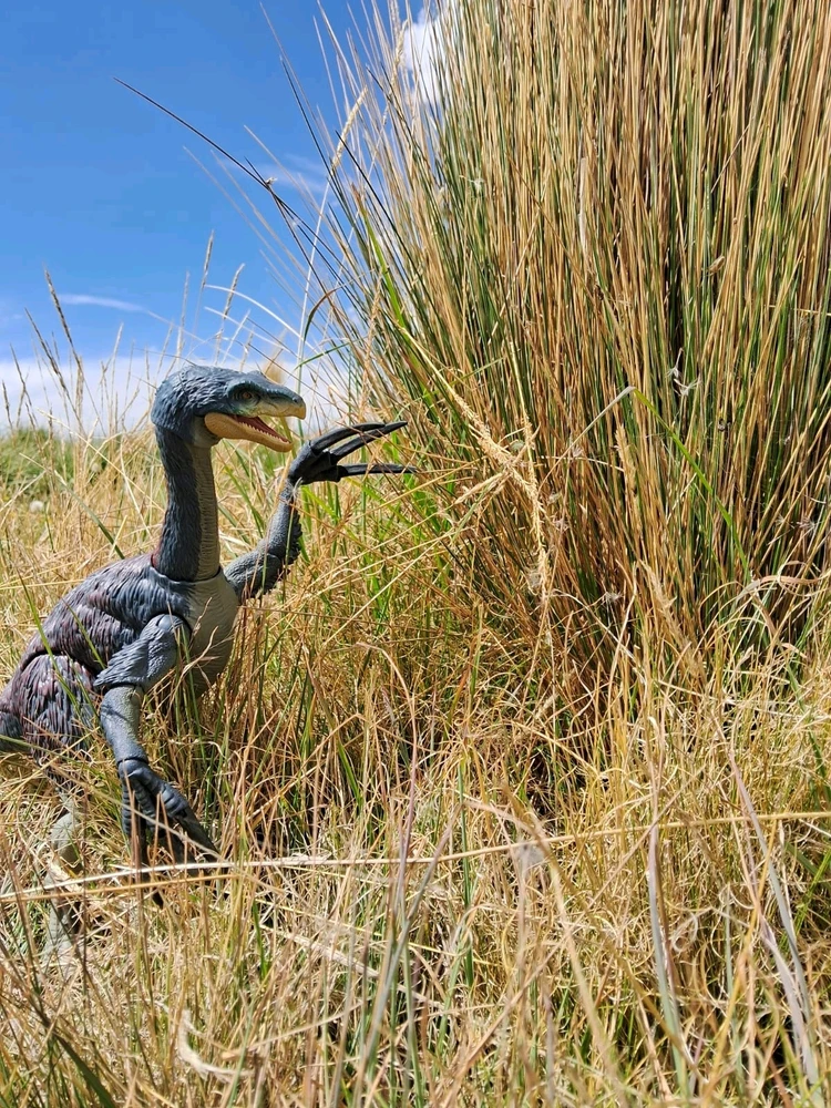 Imagen subida por Hammond Collection