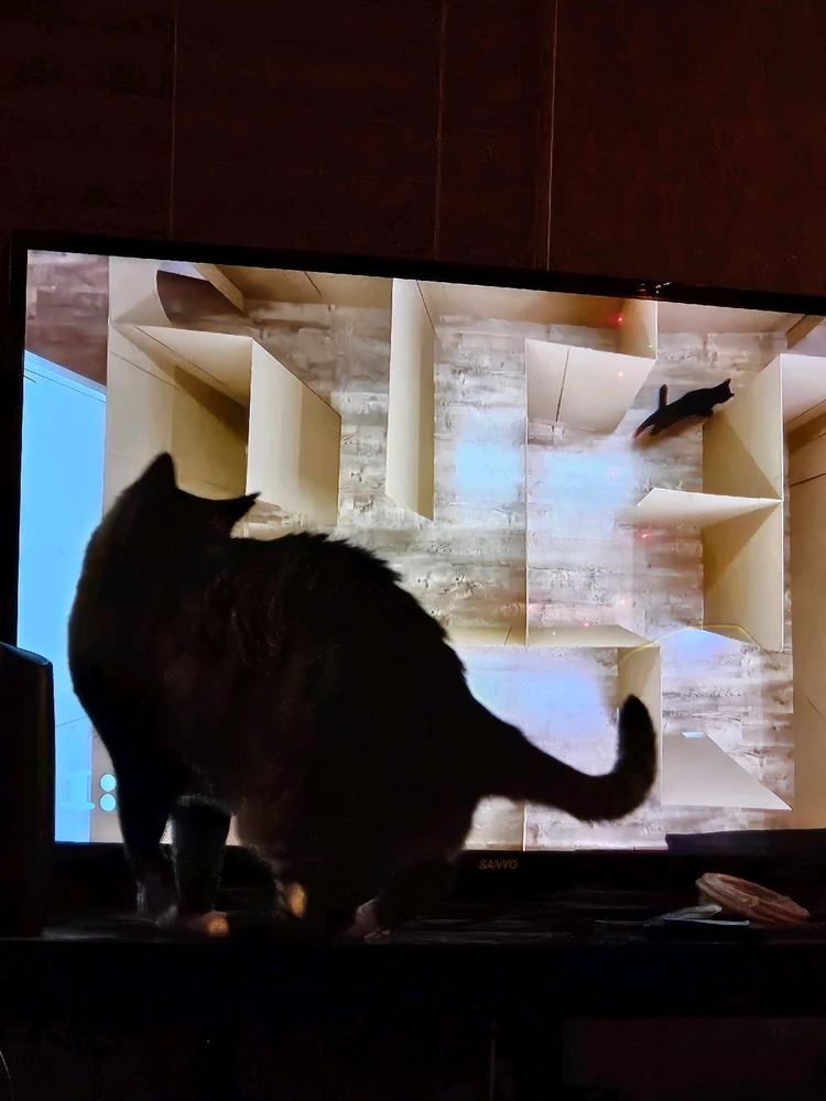 Gambar diunggah dening Mackenzie (Nightshade)