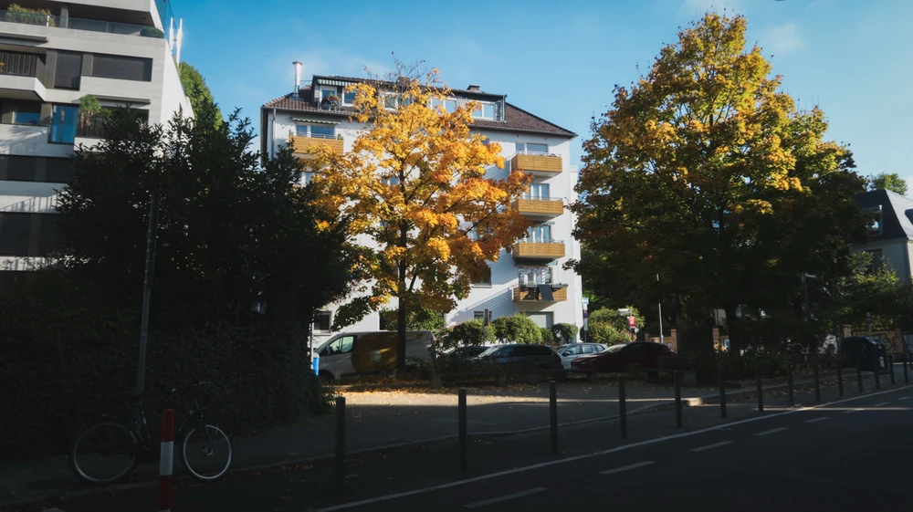 GIF uploaded by Paulle