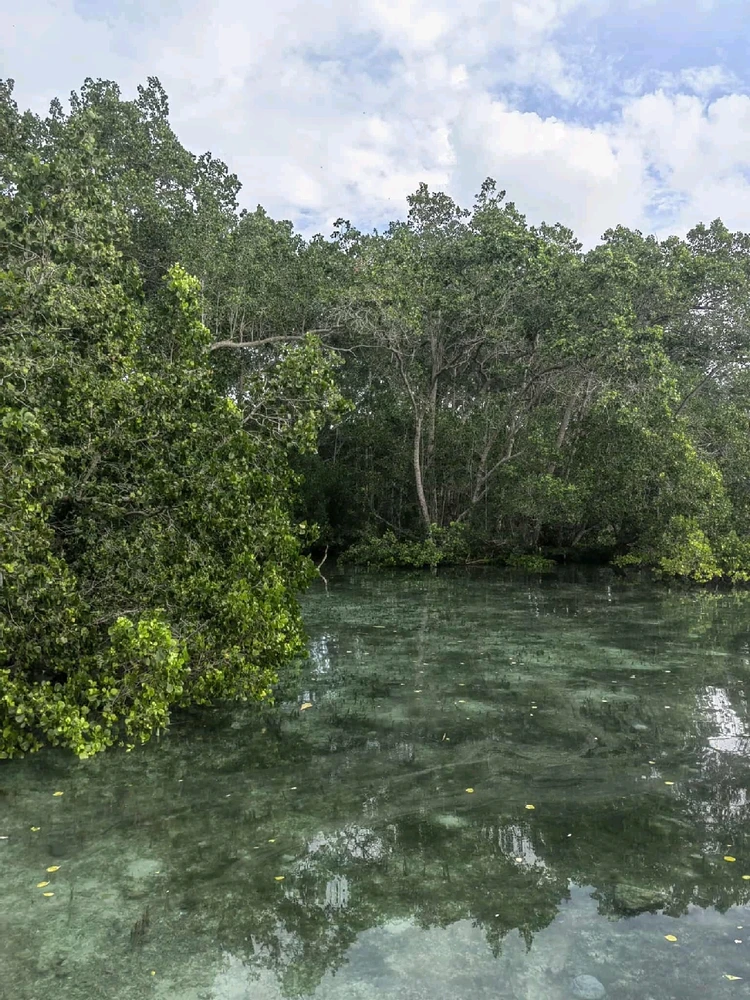 Image uploaded by Nhixx