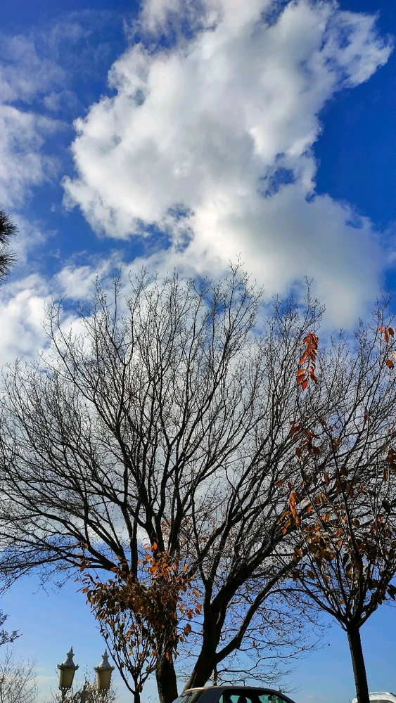 Image uploaded by Yellow